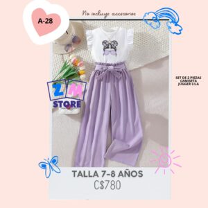 Conjunto palazo,--A-28M